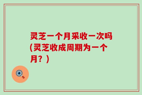灵芝一个月采收一次吗(灵芝收成周期为一个月？)