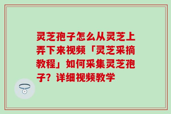 灵芝孢子怎么从灵芝上弄下来视频「灵芝采摘教程」如何采集灵芝孢子？详细视频教学