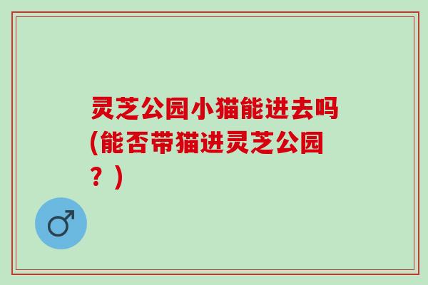 灵芝公园小猫能进去吗(能否带猫进灵芝公园？)