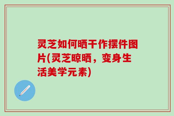 灵芝如何晒干作摆件图片(灵芝晾晒，变身生活美学元素)