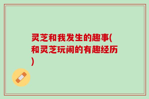 灵芝和我发生的趣事(和灵芝玩闹的有趣经历)