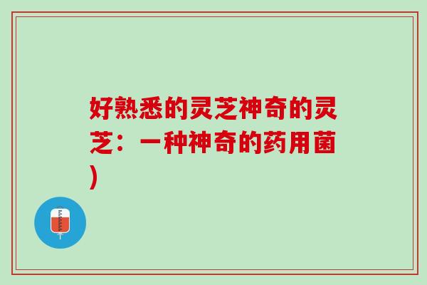 好熟悉的灵芝神奇的灵芝：一种神奇的药用菌)
