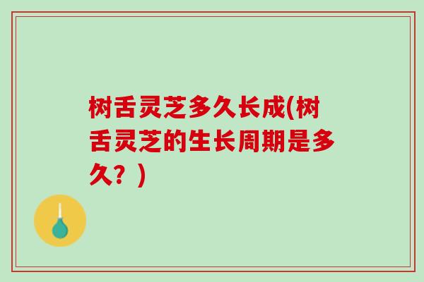 树舌灵芝多久长成(树舌灵芝的生长周期是多久？)