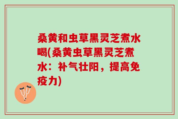 桑黄和虫草黑灵芝煮水喝(桑黄虫草黑灵芝煮水：补气壮阳，提高免疫力)