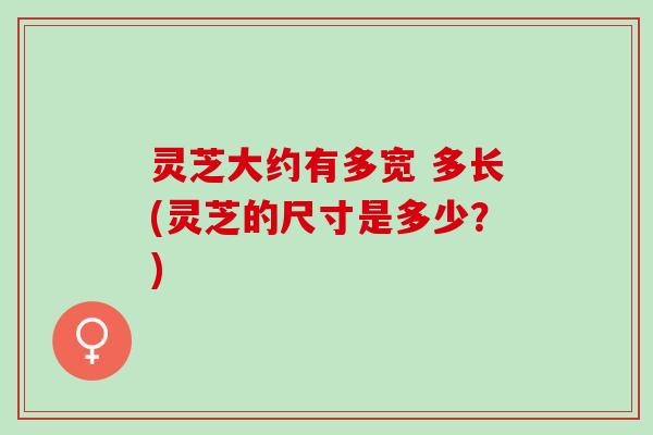 灵芝大约有多宽 多长(灵芝的尺寸是多少？)