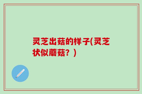 灵芝出菇的样子(灵芝状似蘑菇？)
