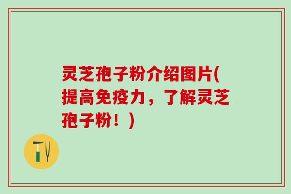 灵芝孢子粉介绍图片(提高免疫力，了解灵芝孢子粉！)