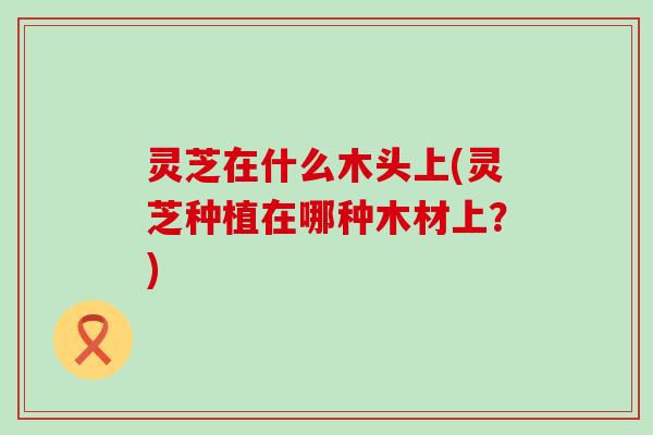 灵芝在什么木头上(灵芝种植在哪种木材上？)