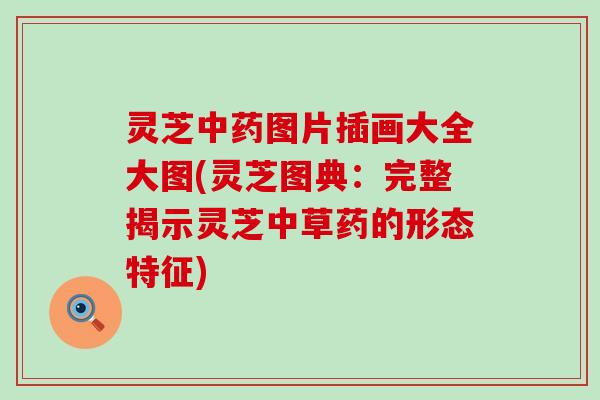 灵芝图片插画大全大图(灵芝图典:完整揭示灵芝中草药的形态特征) 灵芝图片插画大全大图(灵芝图典:完整揭示灵芝中草药的形态特征)