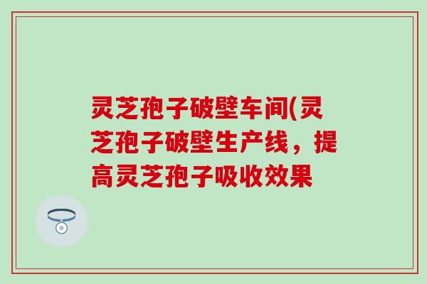 灵芝孢子破壁车间(灵芝孢子破壁生产线，提高灵芝孢子吸收效果