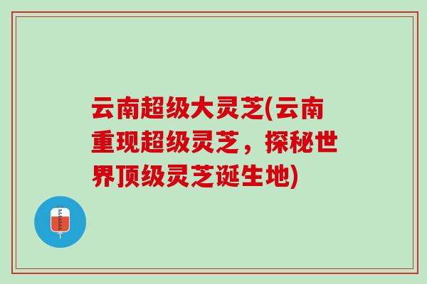 云南超级大灵芝(云南重现超级灵芝，探秘世界顶级灵芝诞生地)