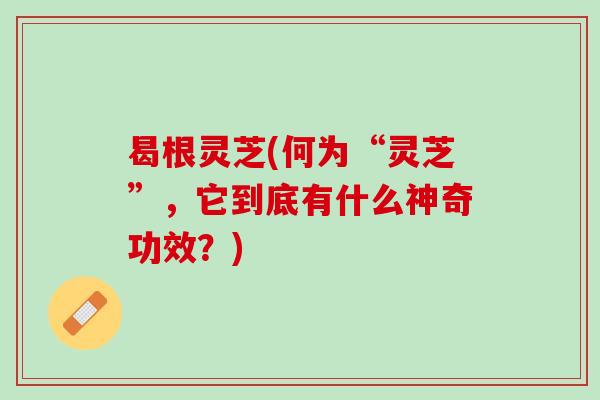 曷根灵芝(何为“灵芝”，它到底有什么神奇功效？)