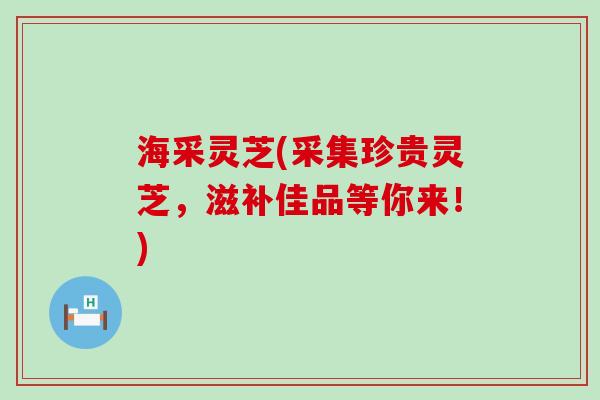 海采灵芝(采集珍贵灵芝，滋补佳品等你来！)