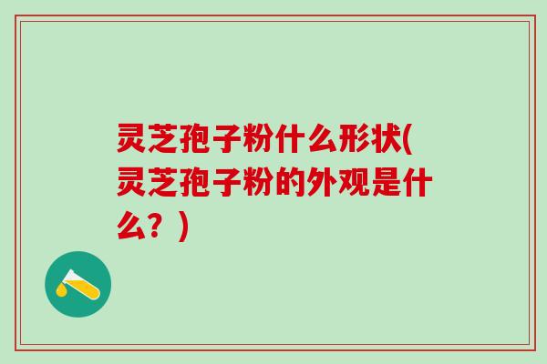 灵芝孢子粉什么形状(灵芝孢子粉的外观是什么？)