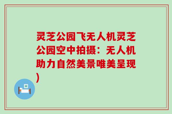 灵芝公园飞无人机灵芝公园空中拍摄：无人机助力自然美景唯美呈现)