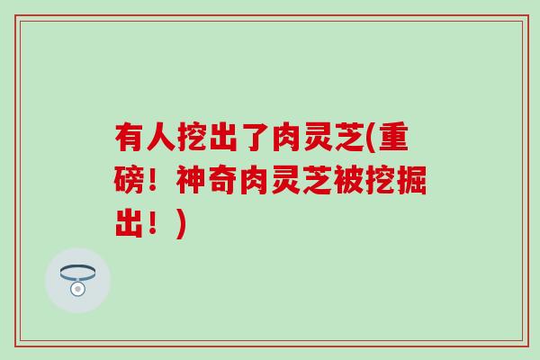 有人挖出了肉灵芝(重磅！神奇肉灵芝被挖掘出！)