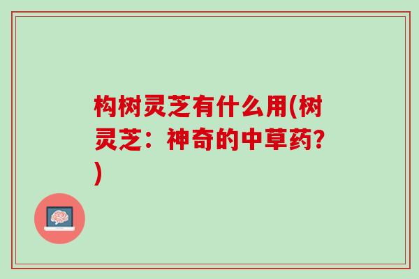 构树灵芝有什么用(树灵芝：神奇的中草药？)