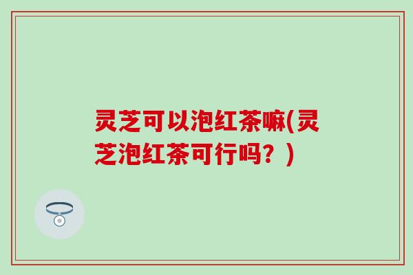 灵芝可以泡红茶嘛(灵芝泡红茶可行吗？)