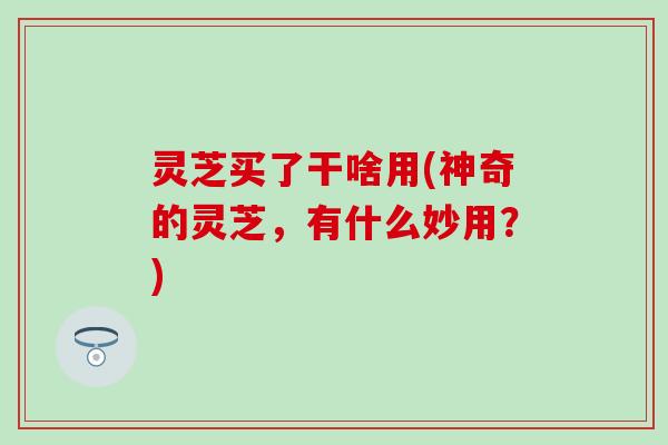 灵芝买了干啥用(神奇的灵芝，有什么妙用？)
