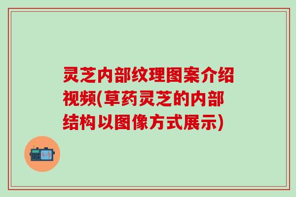 灵芝内部纹理图案介绍视频(草药灵芝的内部结构以图像方式展示)