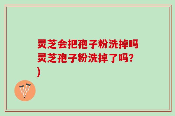 灵芝会把孢子粉洗掉吗灵芝孢子粉洗掉了吗？)