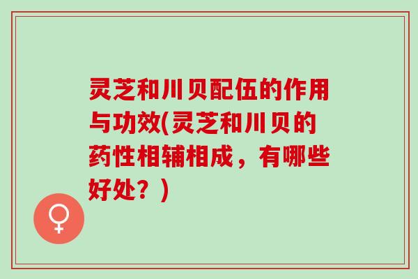 灵芝和川贝配伍的作用与功效(灵芝和川贝的药性相辅相成，有哪些好处？)