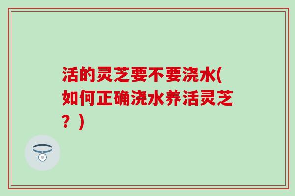 活的灵芝要不要浇水(如何正确浇水养活灵芝？)