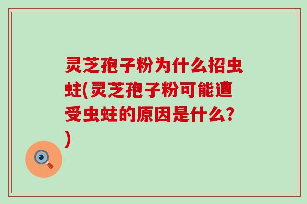 灵芝孢子粉为什么招虫蛀(灵芝孢子粉可能遭受虫蛀的原因是什么？)