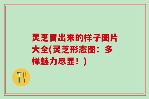 灵芝冒出来的样子图片大全(灵芝形态图：多样魅力尽显！)