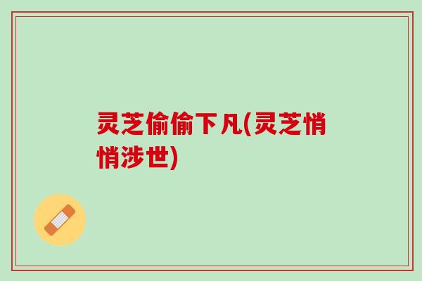 灵芝偷偷下凡(灵芝悄悄涉世)