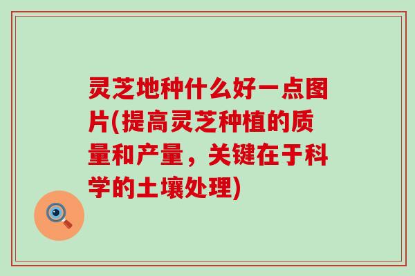 灵芝地种什么好一点图片(提高灵芝种植的质量和产量,关键在于科学的土壤处理) 灵芝地种什么好一点图片(提高灵芝种植的质量和产量,关键在于科学的土壤处理)