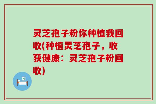 灵芝孢子粉你种植我回收(种植灵芝孢子，收获健康：灵芝孢子粉回收)