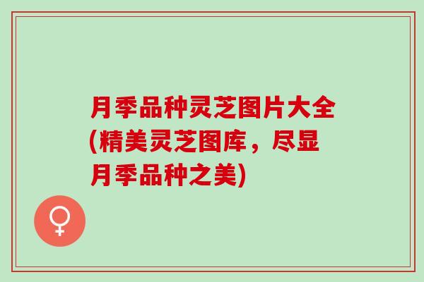 月季品种灵芝图片大全(精美灵芝图库，尽显月季品种之美)