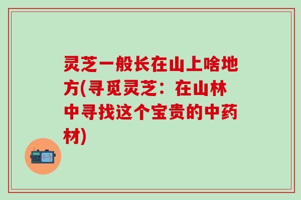 灵芝一般长在山上啥地方(寻觅灵芝：在山林中寻找这个宝贵的中药材)