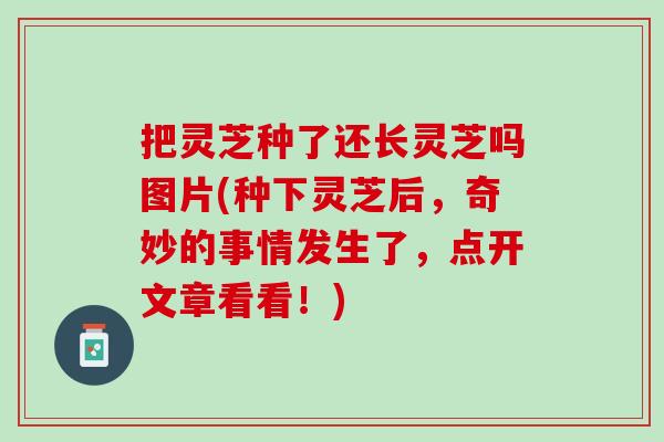 把灵芝种了还长灵芝吗图片(种下灵芝后，奇妙的事情发生了，点开文章看看！)