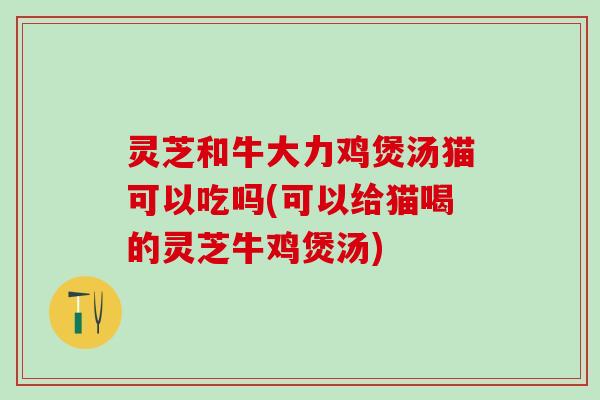 灵芝和牛大力鸡煲汤猫可以吃吗(可以给猫喝的灵芝牛鸡煲汤)