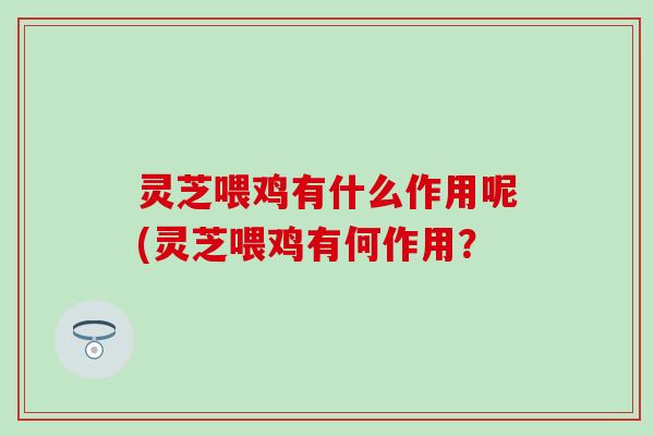 灵芝喂鸡有什么作用呢(灵芝喂鸡有何作用？