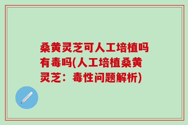 桑黄灵芝可人工培植吗有毒吗(人工培植桑黄灵芝：毒性问题解析)