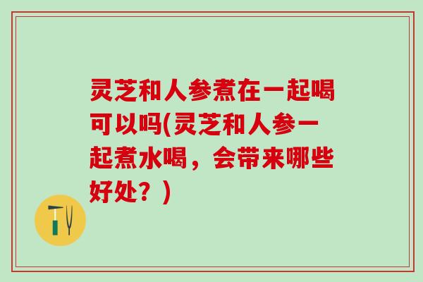 灵芝和人参煮在一起喝可以吗(灵芝和人参一起煮水喝，会带来哪些好处？)