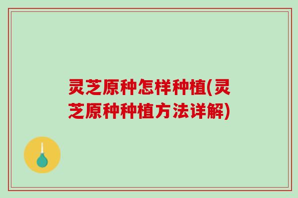 灵芝原种怎样种植(灵芝原种种植方法详解)