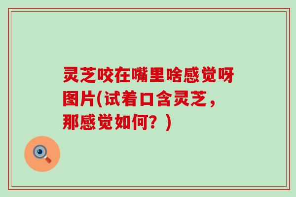 灵芝咬在嘴里啥感觉呀图片(试着口含灵芝，那感觉如何？)