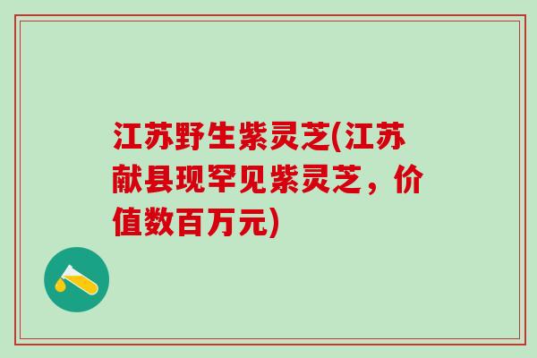 江苏野生紫灵芝(江苏献县现罕见紫灵芝，价值数百万元)