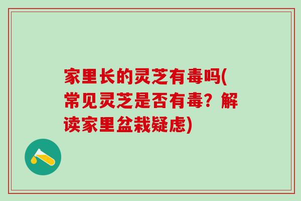 家里长的灵芝有毒吗(常见灵芝是否有毒？解读家里盆栽疑虑)