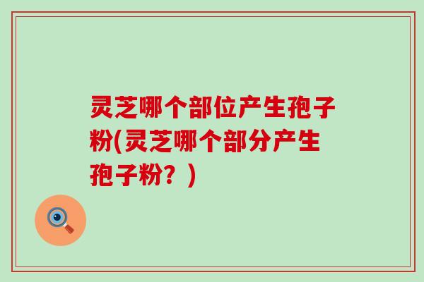 灵芝哪个部位产生孢子粉(灵芝哪个部分产生孢子粉?) 灵芝哪个部位产生孢子粉(灵芝哪个部分产生孢子粉?)