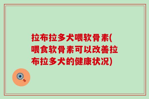 拉布拉多犬喂软骨素(喂食软骨素可以改善拉布拉多犬的健康状况)