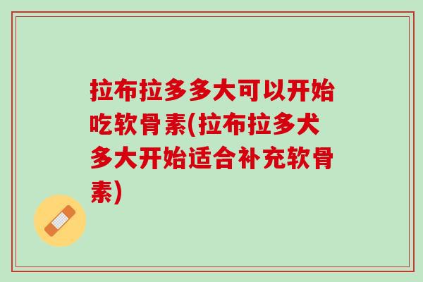 拉布拉多多大可以开始吃软骨素(拉布拉多犬多大开始适合补充软骨素)