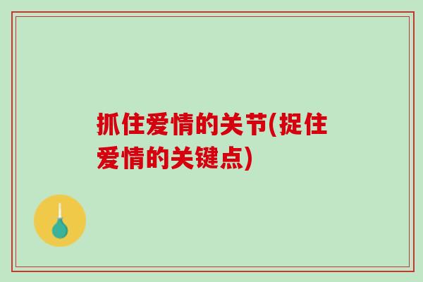 抓住爱情的关节(捉住爱情的关键点)