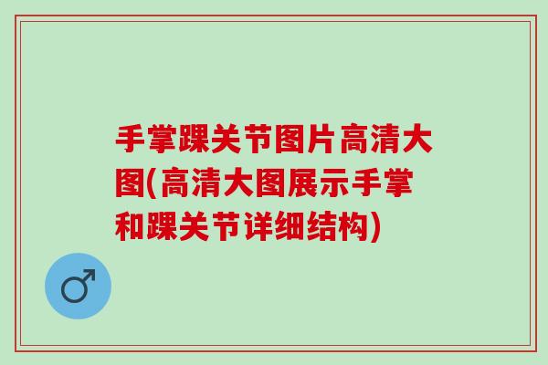 手掌踝关节图片高清大图(高清大图展示手掌和踝关节详细结构)