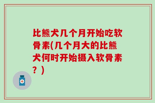 比熊犬几个月开始吃软骨素(几个月大的比熊犬何时开始摄入软骨素？)