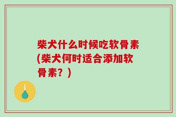 柴犬什么时候吃软骨素(柴犬何时适合添加软骨素？)
